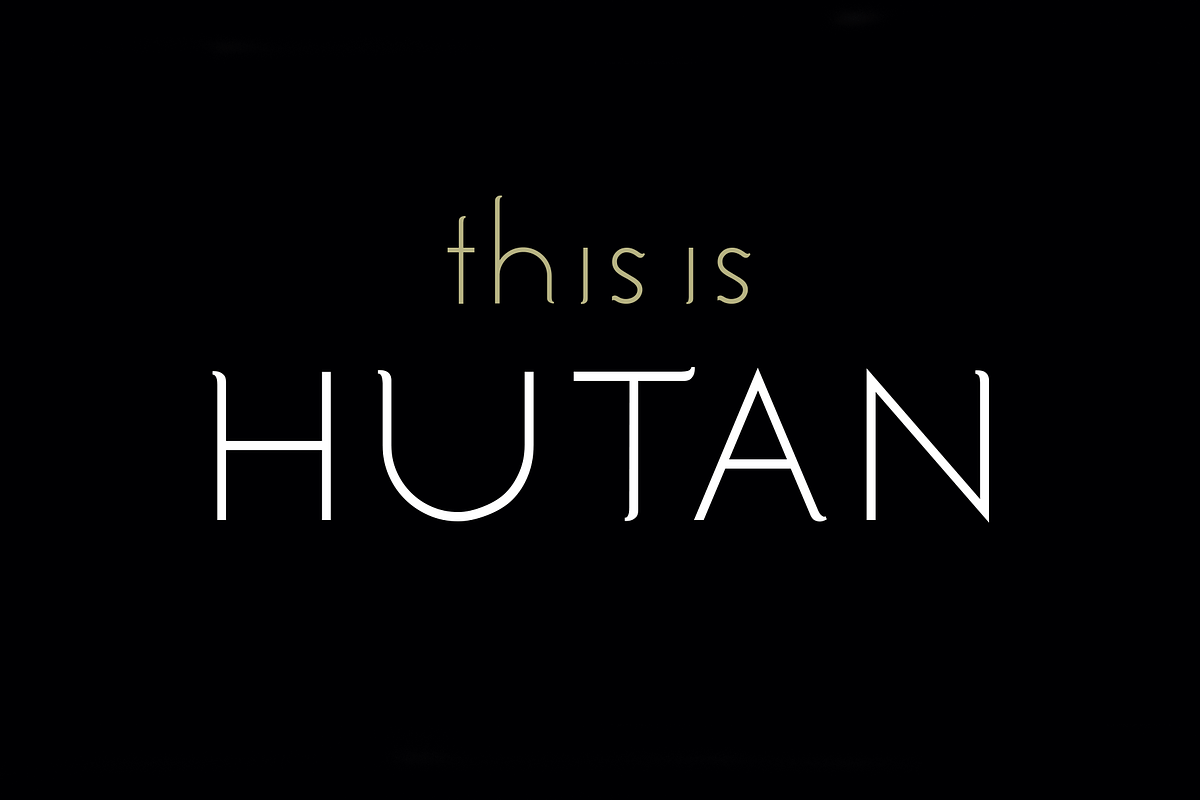 Hutan. Beautiful modern font., a Sans Serif Font by LostandFoundry (Photo 1 of 8)