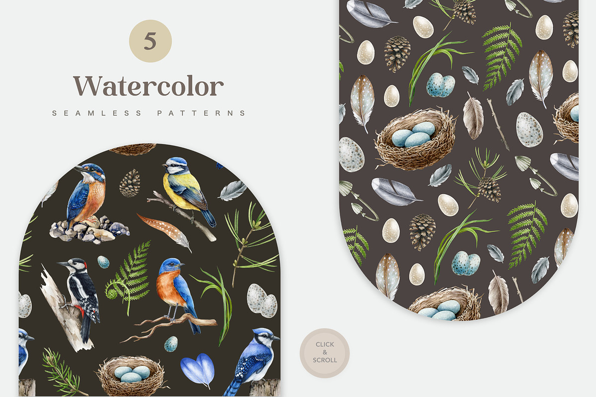 Forest Birds Watercolor Set, an Animal Illustration by AnitaPol (Photo 19 of 26)