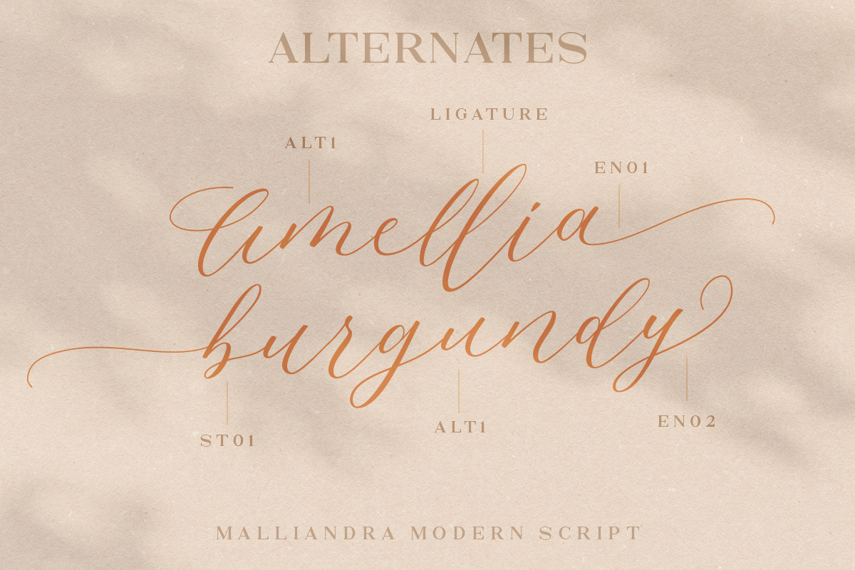 Malliandra Script, a Script Font by Letterhend Studio (Photo 6 of 9)
