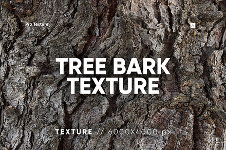 20 Tree Bark Textures, a Texture Graphic by CCPreset