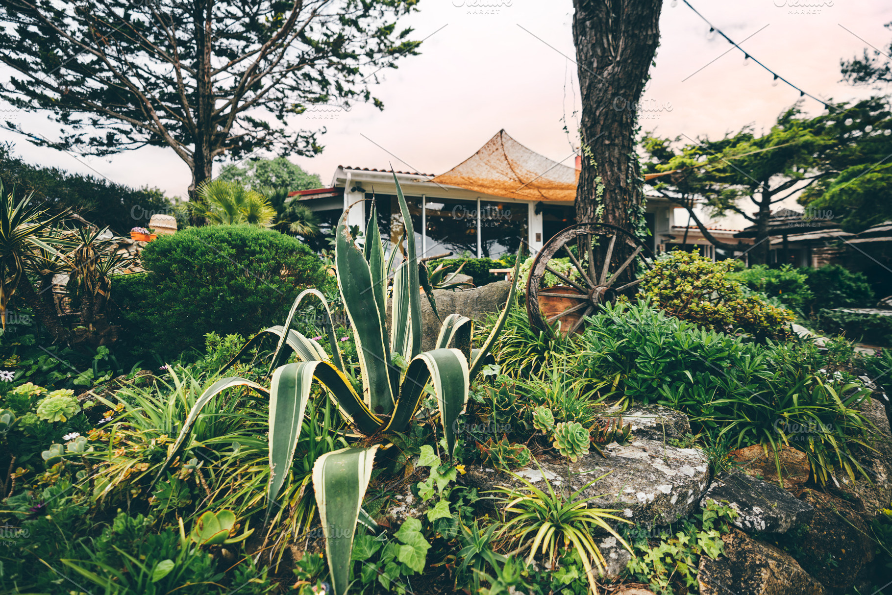 Garden with wagon wheel and agave, an Architecture Photo by SkyNext