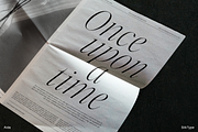 Aida | 10 Font Ligature Serif, a Font by Silktype (Thumbnail 9 of 20)