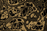 25 textures 64 megapixels, a Texture Graphic by tkdesign (Thumbnail 21 of 26)