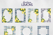 Sicilian lemons, an Education Illustration by LiliaUdod (Thumbnail 4 of 8)