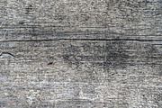 Natural wood texture patterns, a Background Photo by Schreibikus (Thumbnail 8 of 8)