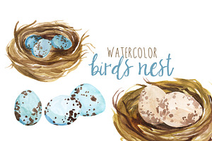 Watercolor Bird's Nest