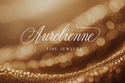 Night Train Script — Elegant Font, a Script Font by vatesdesign (Thumbnail 9 of 10)