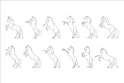 Horses Rearing Up, an Animal Illustration by Naurider (Thumbnail 3 of 4)
