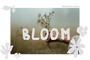 Handcut Vellum Letters & Blooms, an Object Graphic by anastasiia.art (Thumbnail 2 of 5)