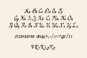 Archoloy - Script Font, a Script Font by Boril Std (Thumbnail 9 of 10)