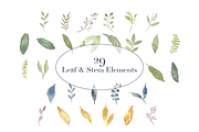May Flowers Design Set - 50% OFF, an Illustration by Méora Studios (Thumbnail 10 of 10)