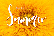 Warrenson Script Font, a Script Font by Creativeqube Design (Thumbnail 6 of 19)