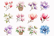 Watercolor Magnolia Flower Clipart, an Illustration by Design Market (Thumbnail 3 of 5)