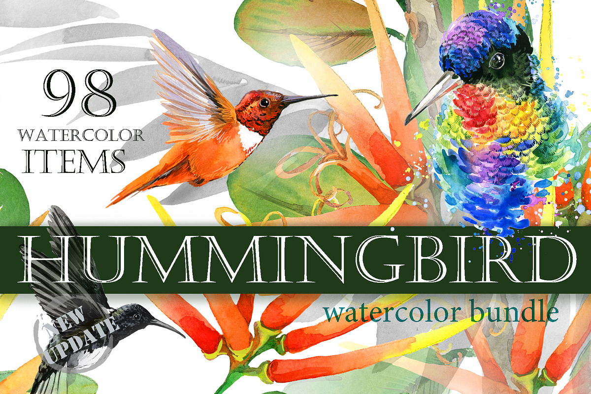 Watercolor Tropical plant & Bird, an Object Graphic by FineArt (Photo 1 of 22)