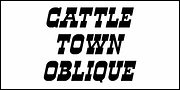 Cattle Town JNL, a Font by Jeff Levine Fonts (Thumbnail 4 of 5)