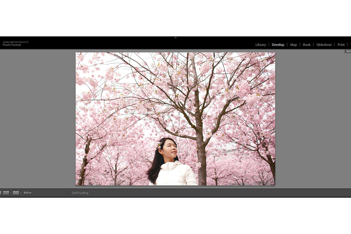 Pink Attitude Lightroom Presets, an Action Add-On by TravellersLight (Photo 12 of 22)