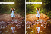Spring Presets - Lightroom Presets, an Action Add-On by Lensgrade.com (Thumbnail 11 of 15)