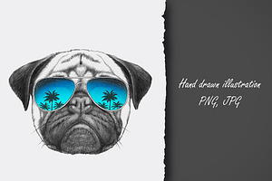Pug Dog / Summertime