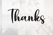 Delightful | Script Font, a Handwritten Font by Scratchones (Thumbnail 8 of 8)
