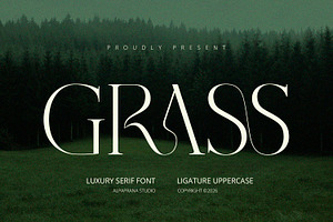 Grass - Serif Font
