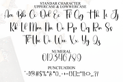 Whimsy Wedding, a Handwritten Font by InermediaSTUDIO (Thumbnail 5 of 8)