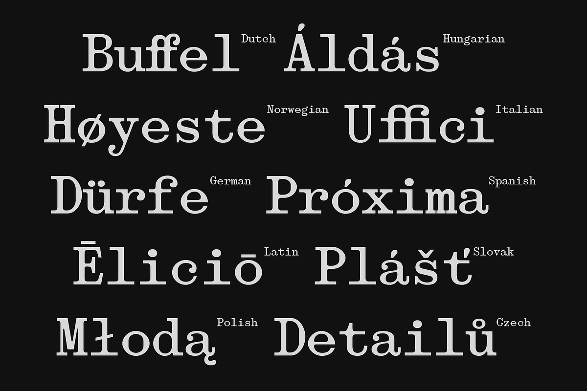 403 Obrinda - Serif Mono, a Serif Font by 403 Type Foundry (Photo 13 of 15)
