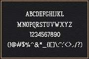 Gunberg Slab Serif, a Slab Serif Font by Vultype Co. (Thumbnail 10 of 11)