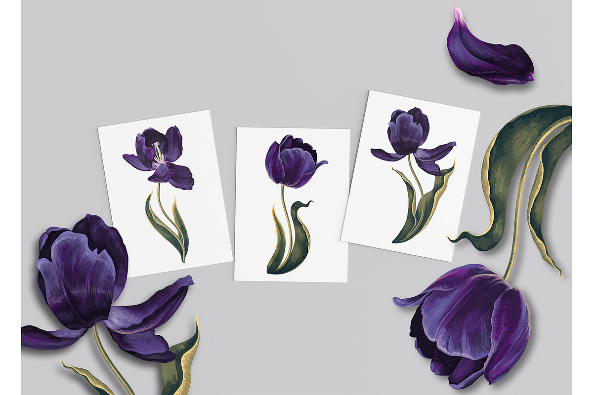 Dark Tulips Vector Set, a Background Graphic by MarynaPetrovska (Photo 7 of 13)