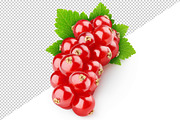 Red currants, an Object Graphic by Fruits+Veggies (Thumbnail 3 of 4)