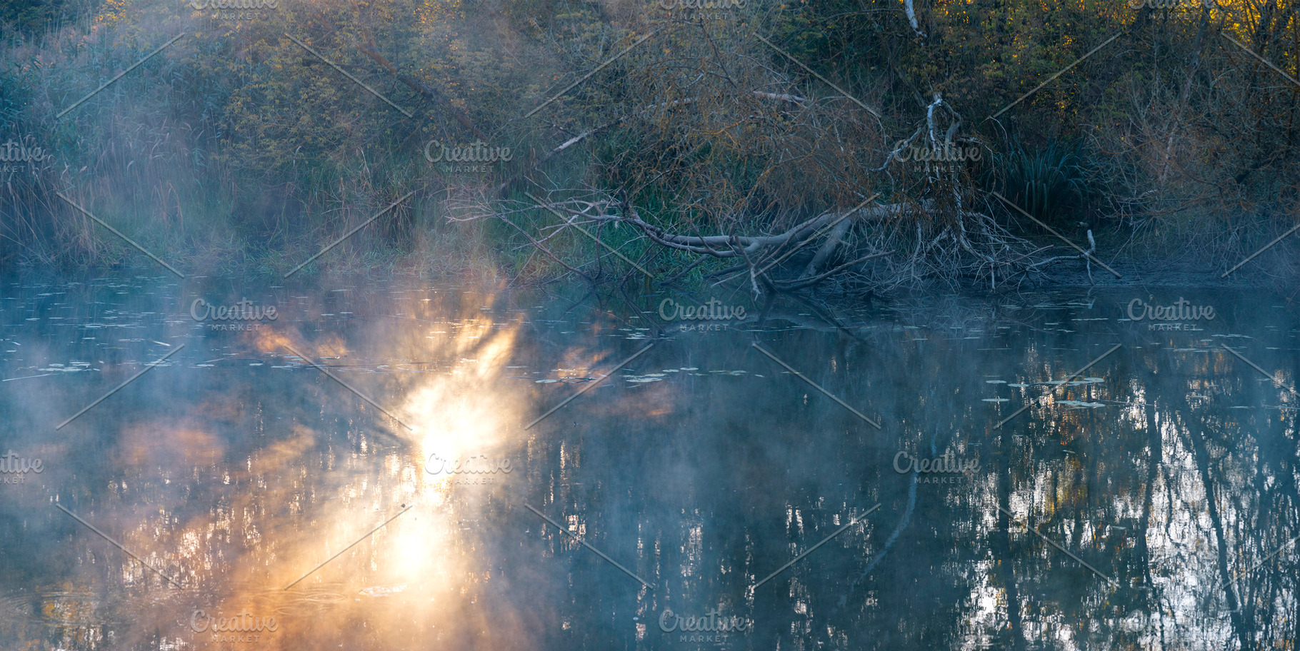 Autumn park by the river with fog., a Photo by Pictures for you!!!!!!!!!