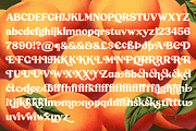 Peach Crush Serif Typeface, a Serif Font by Fenotype (Thumbnail 13 of 16)