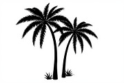 Palm Silhouette Clipart Set, an Illustration by hafijul (Thumbnail 2 of 21)