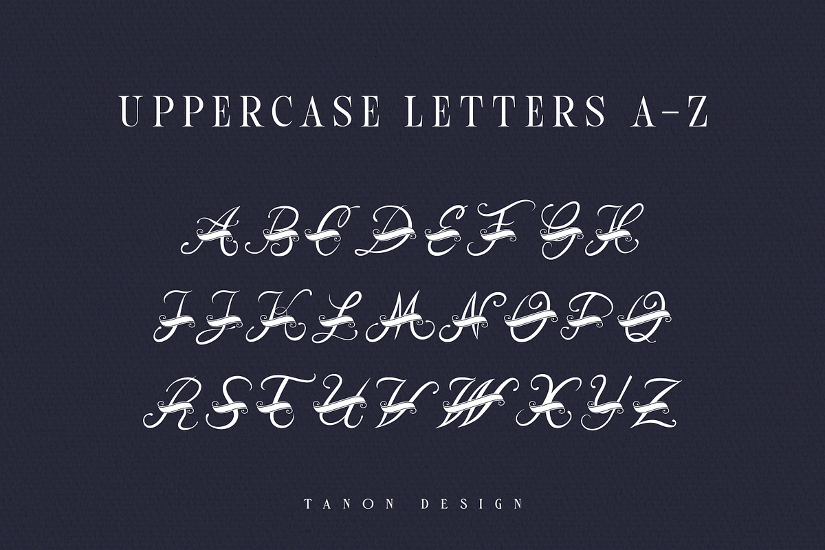 Froero Monogram font, Luxury Logo, a Script Font by Tanondesign (Photo 4 of 4)