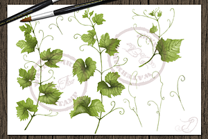 Grape Watercolor Clip Art