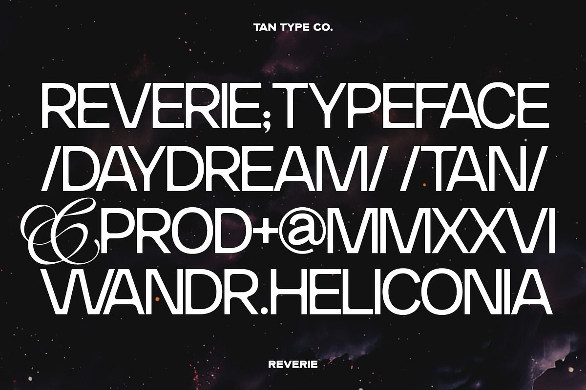 TAN-THE REVERIE, a Sans Serif Font by TanType (Photo 4 of 11)