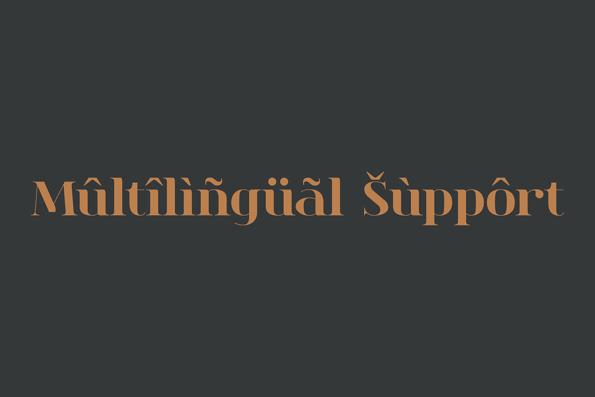 Cecilia | Fancy Serif Family, a Serif Font by MchCrafter (Photo 15 of 15)