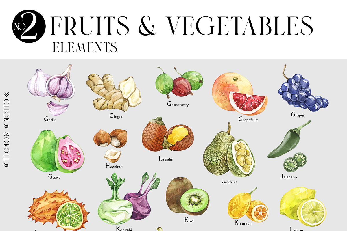 Fruits and Vegetables Encyclopedia, a Food Illustration by Anastezia Luneva (Photo 5 of 9)
