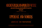 NORTHERN PARLIAMENT|eduard aurelien, a Handwritten Font by Eli Shore Productions (Thumbnail 8 of 8)