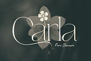 Eyana | Elegant serif, a Serif Font by ClevUs (Thumbnail 5 of 12)