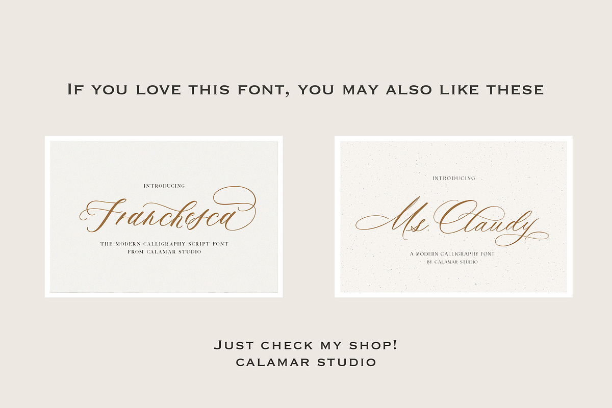 Saint Viet | Calligraphy Font, a Script Font by Calamar Studio (Photo 29 of 29)