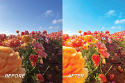 15 Clean Color Lightroom Presets, a Preset Add-On by TheWayfarerShoppe (Thumbnail 7 of 9)