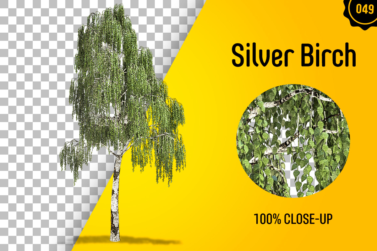CUT OUT TREES - 60 PCS BUNDLE, a Packaging Mockup by 3DSTORE (Photo 50 of 63)
