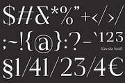 GrethaSerif, a Serif Font by Propertype (Thumbnail 10 of 14)
