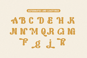 Nice - Playful Retro Font