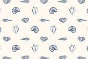10 Hand Drawn Seashell + 5 Patterns, an Object Illustration by Storyteller Imagery (Thumbnail 4 of 7)