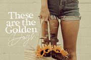 California Palms Fonts & Graphics, a Serif Font by Nicky Laatz (Thumbnail 22 of 48)