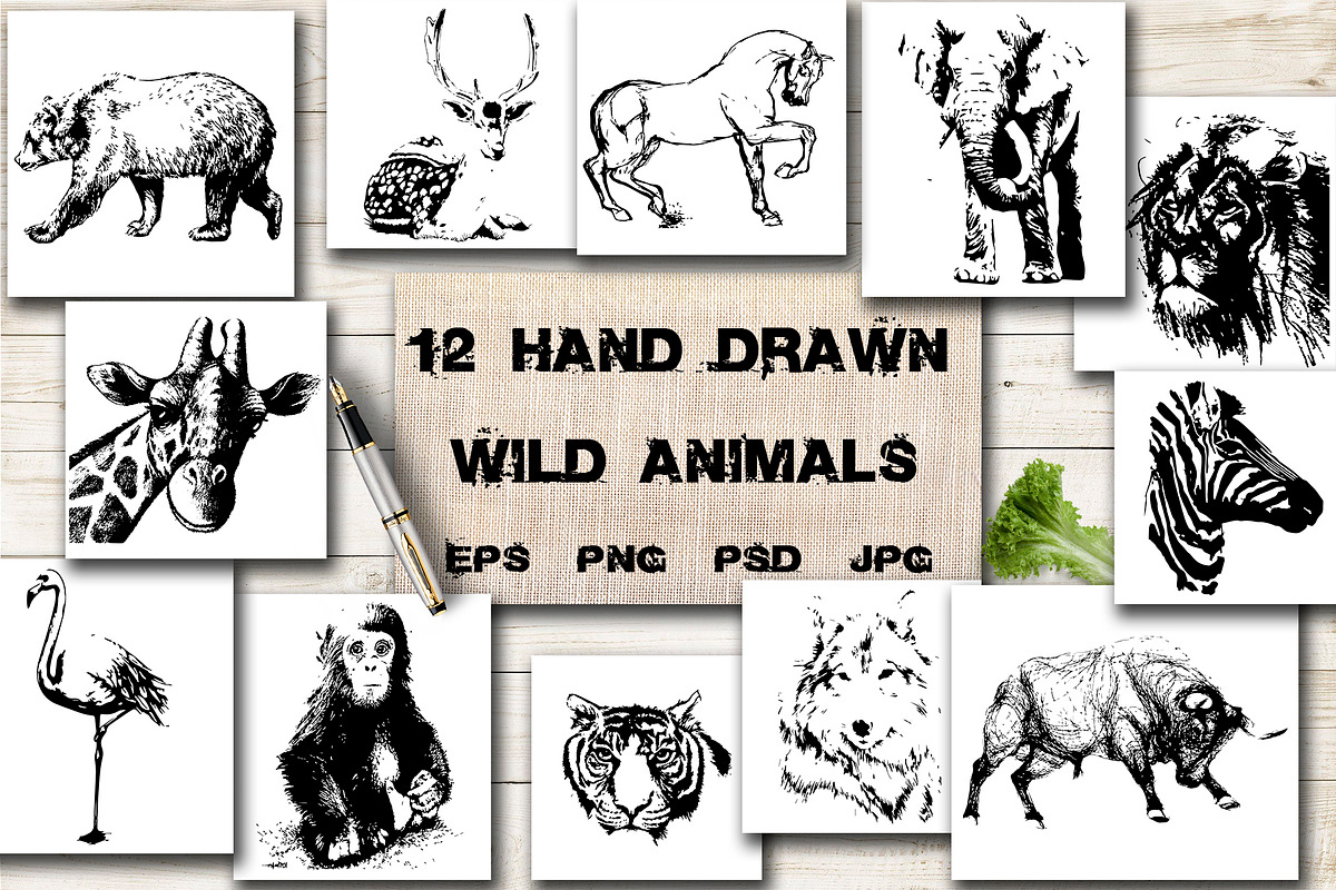 BUNDLE WILD ANIMALS VECTOR, an Animal Illustration by AnastasiyaOleynik (Photo 18 of 20)