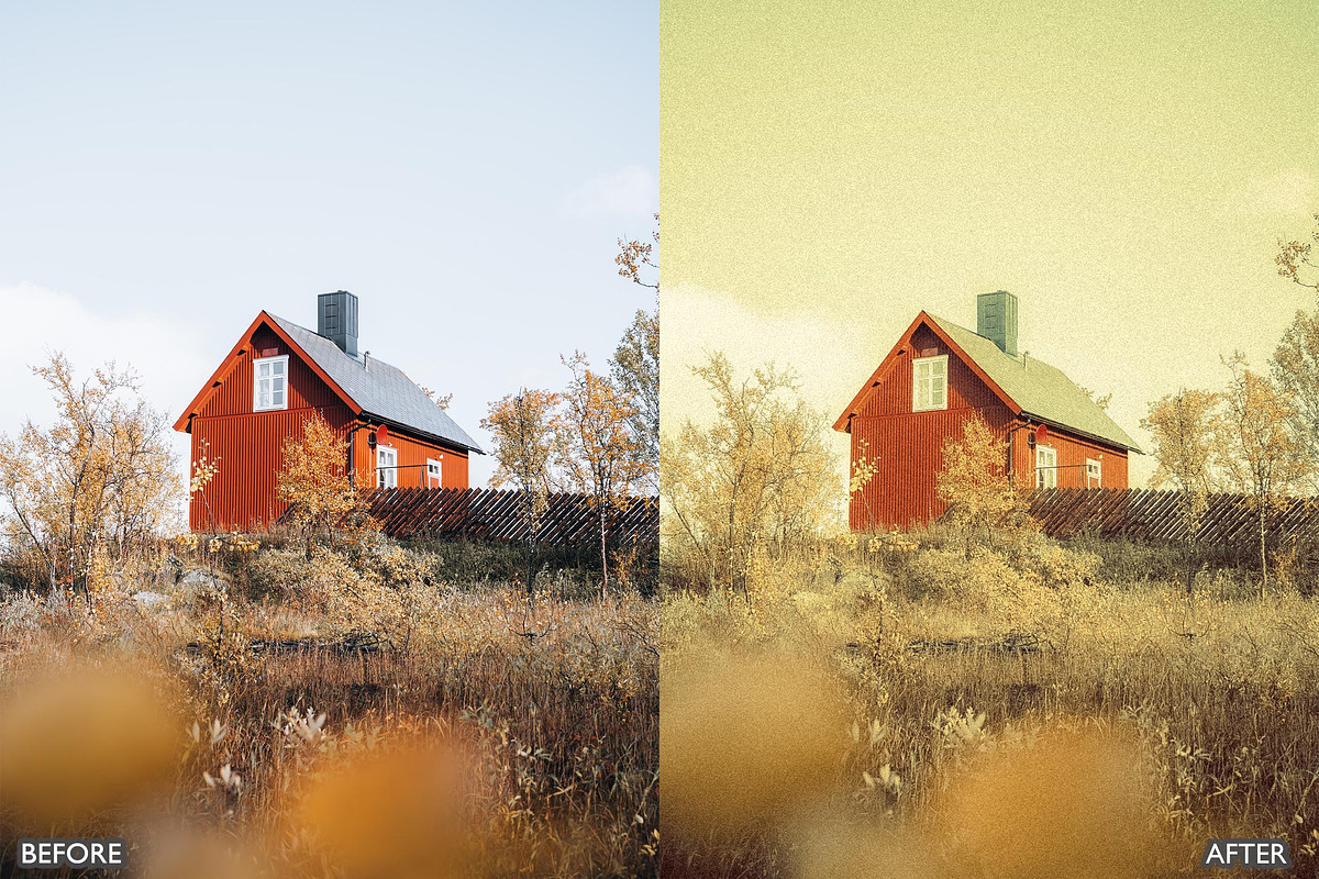 Vintage Retro Grain Lightroom Preset, a Preset Add-On by AAA Presets (Photo 10 of 20)