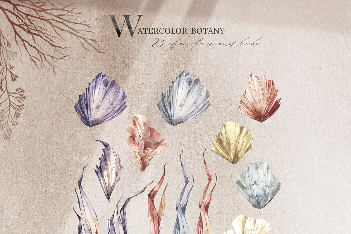 UNDERWATER GARDEN Watercolor set, an Animal Illustration by Anastezia ...