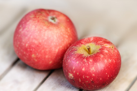 Apples, a Photo by Peopleimages.com